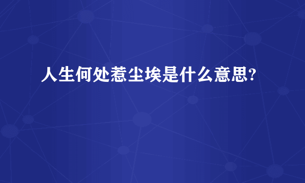 人生何处惹尘埃是什么意思?