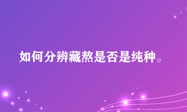 如何分辨藏熬是否是纯种。