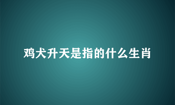 鸡犬升天是指的什么生肖