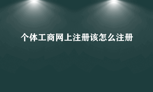 个体工商网上注册该怎么注册