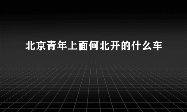 北京青年上面何北开的什么车