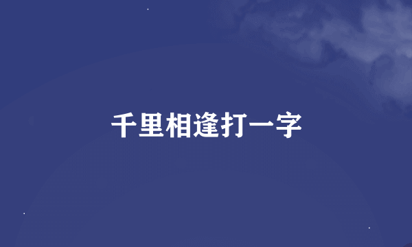 千里相逢打一字