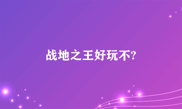 战地之王好玩不?