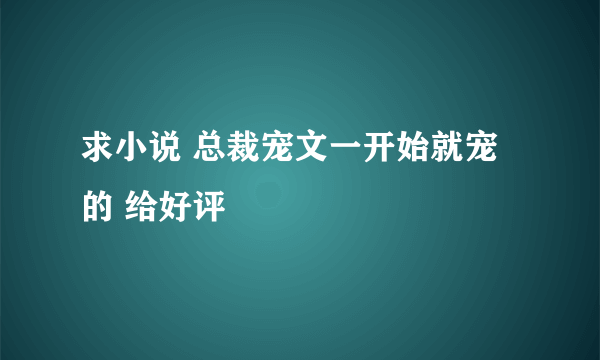 求小说 总裁宠文一开始就宠的 给好评