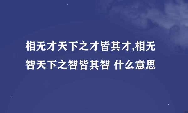 相无才天下之才皆其才,相无智天下之智皆其智 什么意思