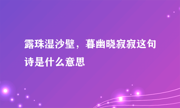 露珠湿沙壁，暮幽晓寂寂这句诗是什么意思