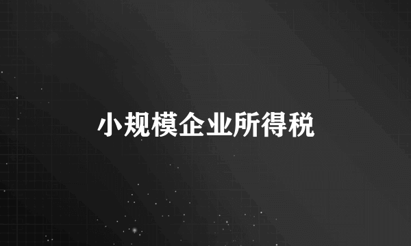 小规模企业所得税