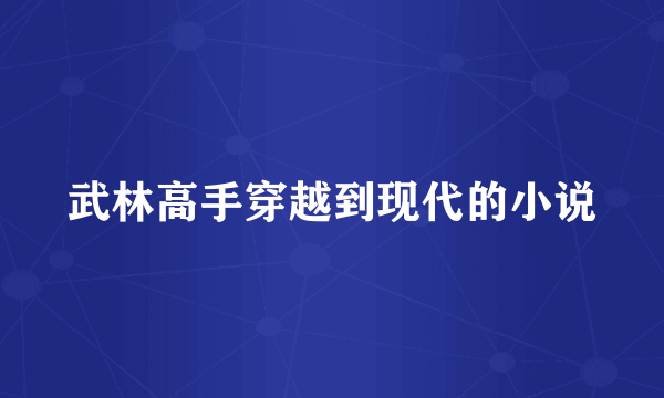 武林高手穿越到现代的小说