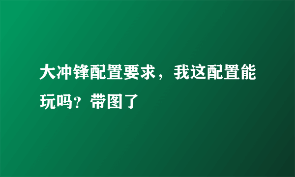 大冲锋配置要求，我这配置能玩吗？带图了