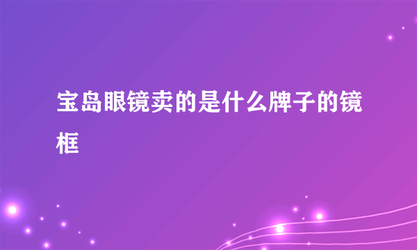 宝岛眼镜卖的是什么牌子的镜框