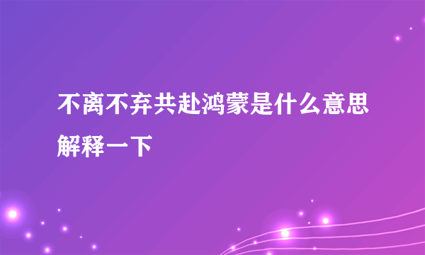 不离不弃共赴鸿蒙是什么意思解释一下