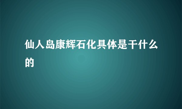 仙人岛康辉石化具体是干什么的