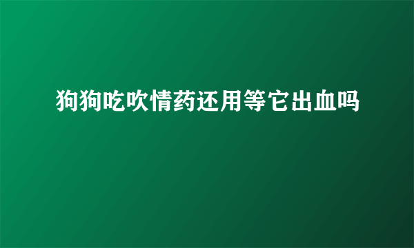 狗狗吃吹情药还用等它出血吗