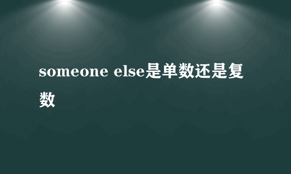 someone else是单数还是复数