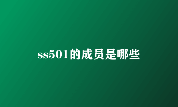 ss501的成员是哪些