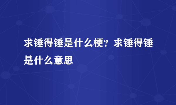 求锤得锤是什么梗？求锤得锤是什么意思