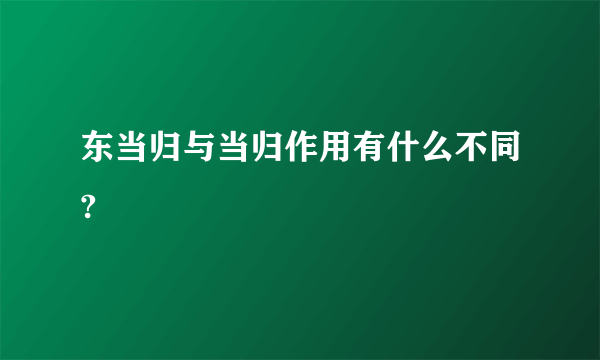 东当归与当归作用有什么不同?