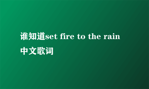 谁知道set fire to the rain 中文歌词