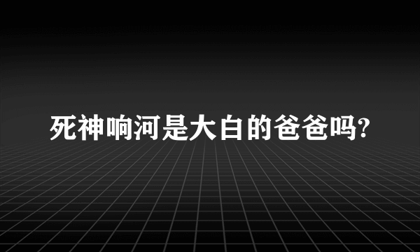 死神响河是大白的爸爸吗?