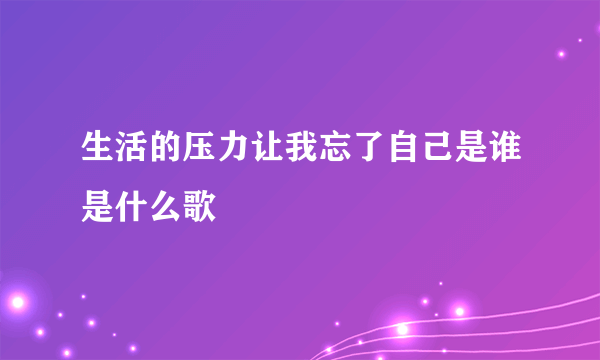 生活的压力让我忘了自己是谁是什么歌