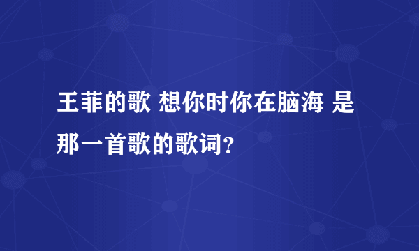 王菲的歌 想你时你在脑海 是那一首歌的歌词？