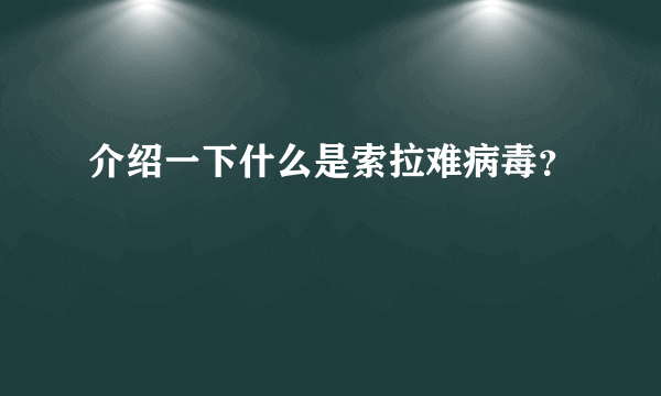 介绍一下什么是索拉难病毒？