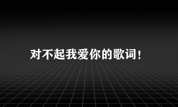 对不起我爱你的歌词！