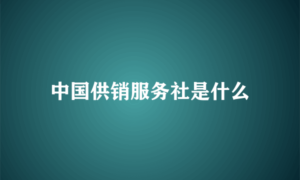 中国供销服务社是什么