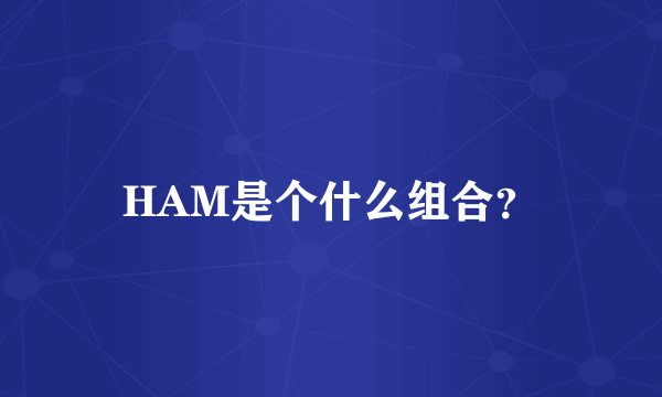 HAM是个什么组合？