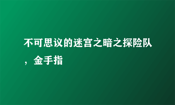 不可思议的迷宫之暗之探险队，金手指