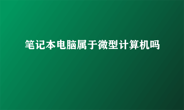 笔记本电脑属于微型计算机吗﹖