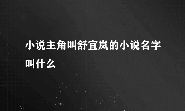 小说主角叫舒宜岚的小说名字叫什么