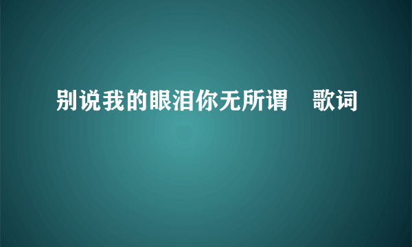 别说我的眼泪你无所谓 歌词