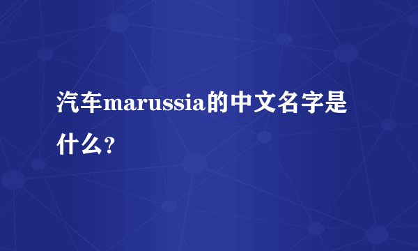 汽车marussia的中文名字是什么？