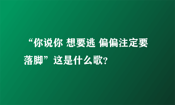 “你说你 想要逃 偏偏注定要落脚”这是什么歌？