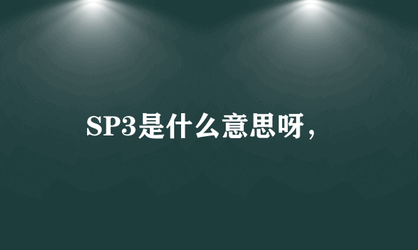 SP3是什么意思呀，