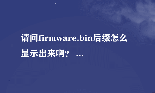 请问firmware.bin后缀怎么显示出来啊？ 在网上下了一个NO$Zoomer但是只有firmware并没有BIN