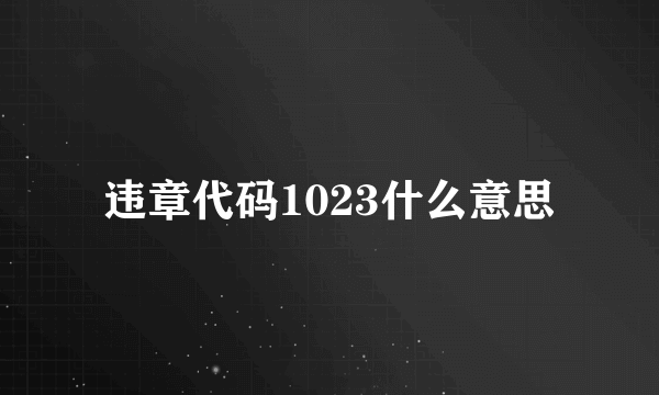 违章代码1023什么意思