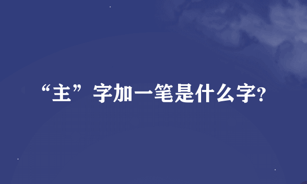 “主”字加一笔是什么字？