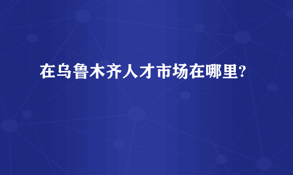 在乌鲁木齐人才市场在哪里?