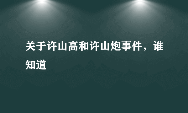 关于许山高和许山炮事件，谁知道