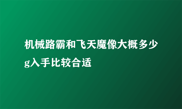 机械路霸和飞天魔像大概多少g入手比较合适