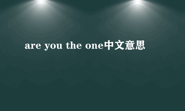 are you the one中文意思