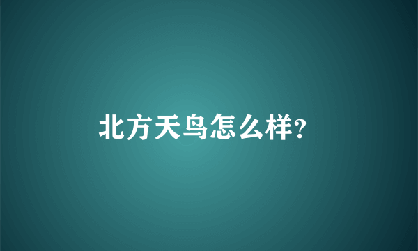 北方天鸟怎么样？