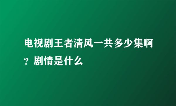 电视剧王者清风一共多少集啊？剧情是什么