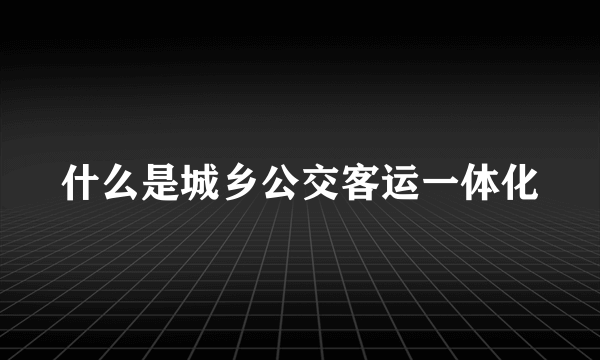 什么是城乡公交客运一体化