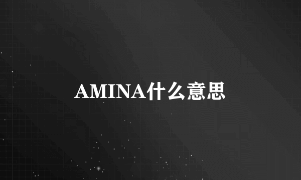 AMINA什么意思