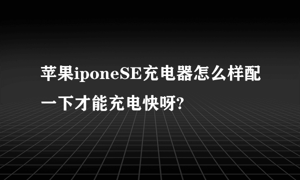 苹果iponeSE充电器怎么样配一下才能充电快呀?