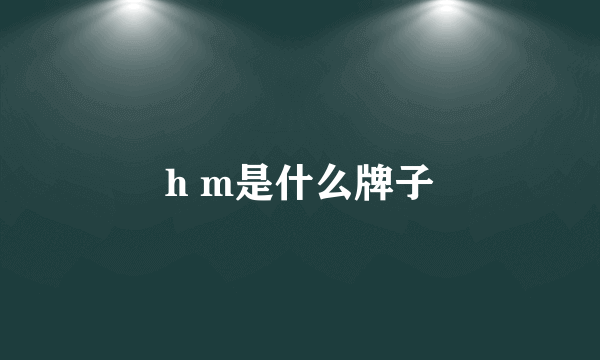 h m是什么牌子