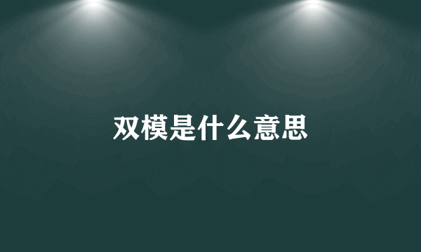 双模是什么意思